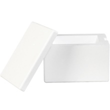 Insulated Shipping Containers & Supplies - 8 x 6 x 4.25"