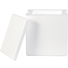 Insulated Shipping Containers & Supplies - 8 x 6 x 9"