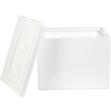 Insulated Shipping Containers & Supplies - 12 x 10 x 9"