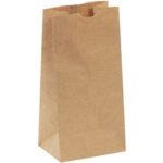 Paper Bags - 9.75 x 5 x 3.25"