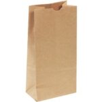 Paper Bags - 12.4375 x 6.125 x 4.2"