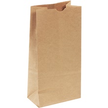 Paper Bags - 12.4375 x 6.125 x 4.2"