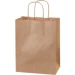 Paper Bags - 8 x 4.5 x 10.25"