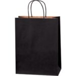 Paper Bags - 10 x 5 x 13"