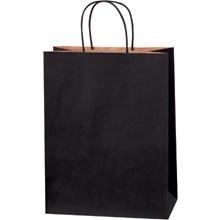 Paper Bags - 10 x 5 x 13"