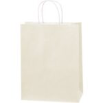 Paper Bags - 10 x 5 x 13"