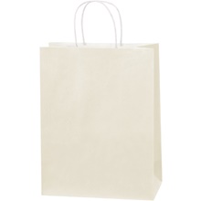 Paper Bags - 10 x 5 x 13"