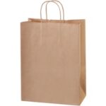 Paper Bags - 10 x 5 x 13"