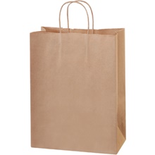 Paper Bags - 10 x 5 x 13"