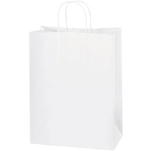 Paper Bags - 10 x 5 x 13"