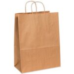 Paper Bags - 13 x 7 x 17"