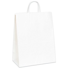Paper Bags - 13 x 7 x 17"