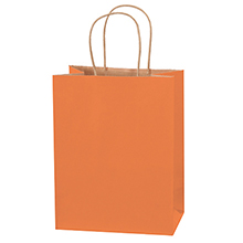 Paper Bags - 4.5 x 10.25 x 8"
