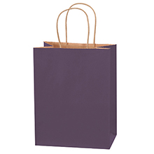 Paper Bags - 4.5 x 10.25 x 8"
