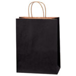 Paper Bags - 10 x 5 x 13"
