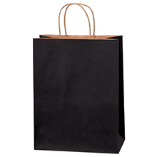 Paper Bags - 10 x 5 x 13"