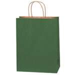 Paper Bags - 10 x 5 x 13"