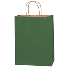Paper Bags - 10 x 5 x 13"