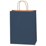 Paper Bags - 10 x 5 x 13"