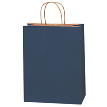 Paper Bags - 10 x 5 x 13"