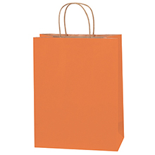 Paper Bags - 10 x 5 x 13"