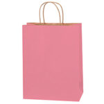 Paper Bags - 10 x 5 x 13"