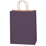 Paper Bags - 10 x 5 x 13"
