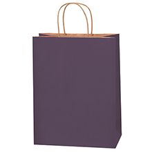 Paper Bags - 10 x 5 x 13"