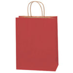 Paper Bags - 10 x 5 x 13"