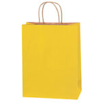 Paper Bags - 10 x 5 x 13"