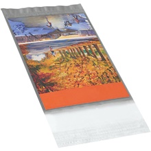 Poly Mailers & Envelopes - 9 x 6"
