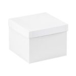 Gift Boxes - 8 x 8 x 6"