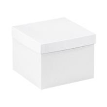 Gift Boxes - 8 x 8 x 6"