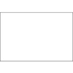 Inventory Labels - 6 x 4"