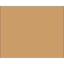 Inventory Labels - 10 x 8"