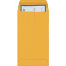 Paper Envelopes - 6 x 3.375"