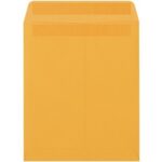 Paper Envelopes - 12.5 x 9.5"