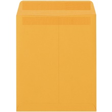 Paper Envelopes - 12.5 x 9.5"