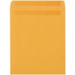 Paper Envelopes - 13 x 10"