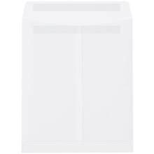 Paper Envelopes - 12 x 9"