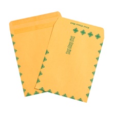 Paper Envelopes - 13 x 10"