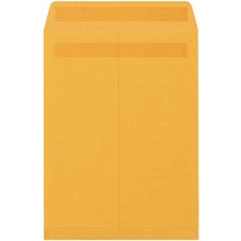 Paper Envelopes - 15 x 10"