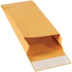 Paper Envelopes - 11 x 5 x 2"
