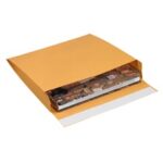 Paper Envelopes - 12 x 10 x 2"