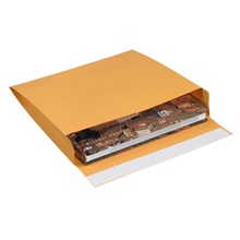 Paper Envelopes - 13 x 10 x 2"