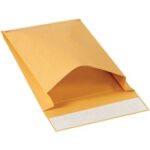 Paper Envelopes - 12 x 9 x 2"