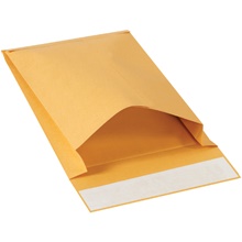 Paper Envelopes - 12 x 9 x 2"