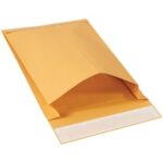 Paper Envelopes - 13 x 9.5 x 2"