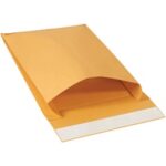Paper Envelopes - 15 x 12 x 3"