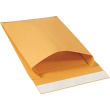 Paper Envelopes - 15 x 12 x 3"